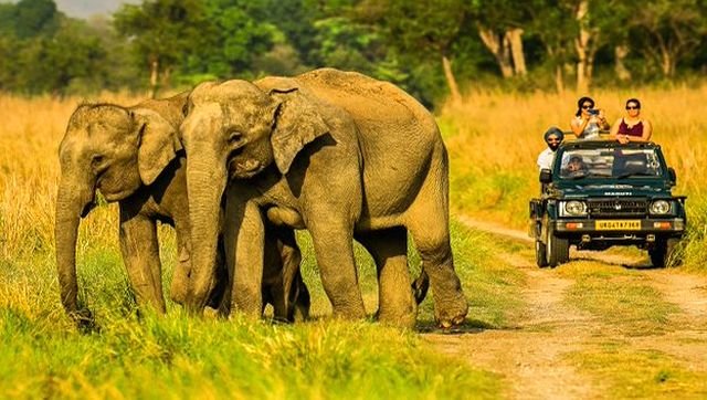 Jim Corbett Safari