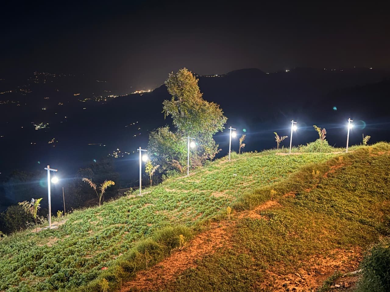 Kanatal & Dhanaulti Tour Package